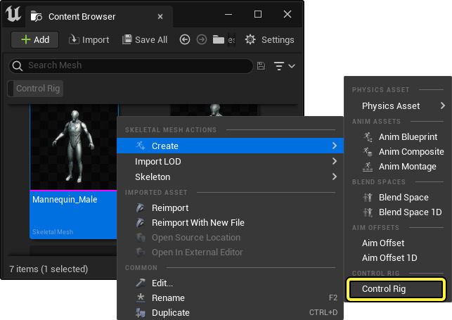 Basic fundamentals of Control Rig in Unreal Engine 6