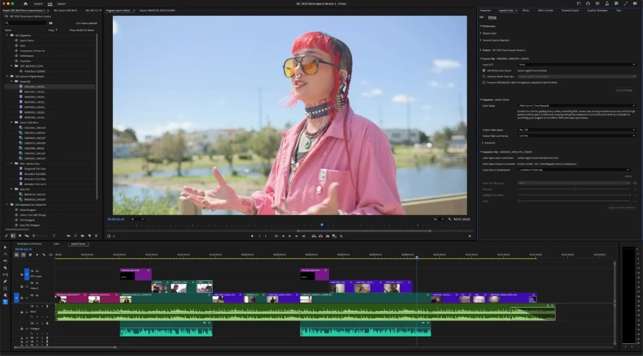Adobe Premiere vs Davinci Resolve: Which one is worth investing in 2025? 3